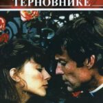 Поющие в Терновнике Постер